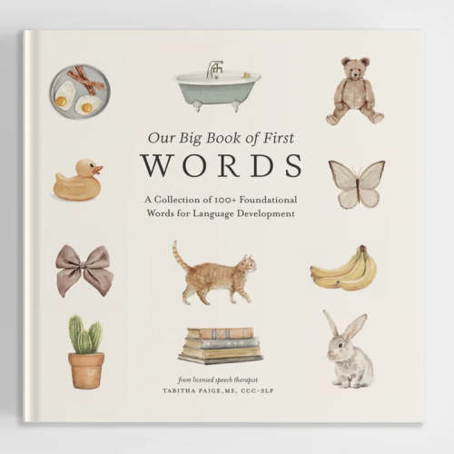 Our Big Book of First Words – Chicke