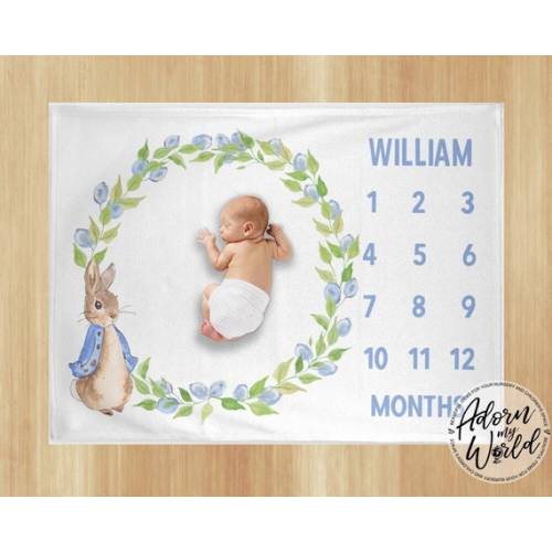 Milestone Blanket Baby Month Blanket Peter Rabbit Milestone - Etsy