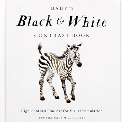 Baby's Black and White Contrast Book: High-Contrast Art for Visual Stimulation at Tummy Time (Our Little Adventures Series)
