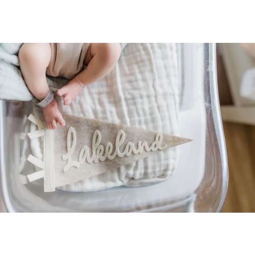 Custom mini pennant for baby, small name flag for newborn hospital photos, personalized photo prop first year, nursery toddler room decor