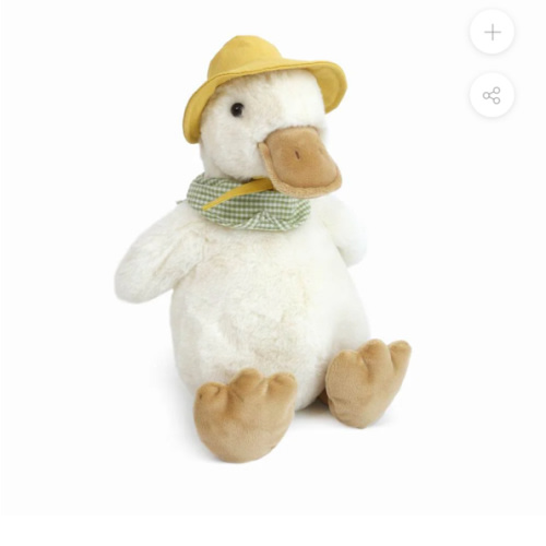 Puddles Duck