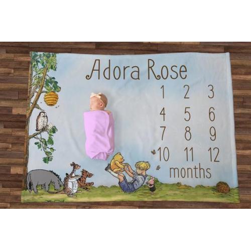 Classic Winnie the Pooh Milestone Personalized Blanket - baby shower minky gift soft