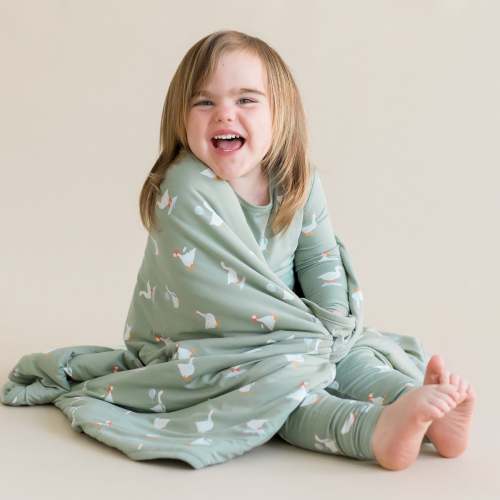 Toddler Blanket in Silly Goose 1.0