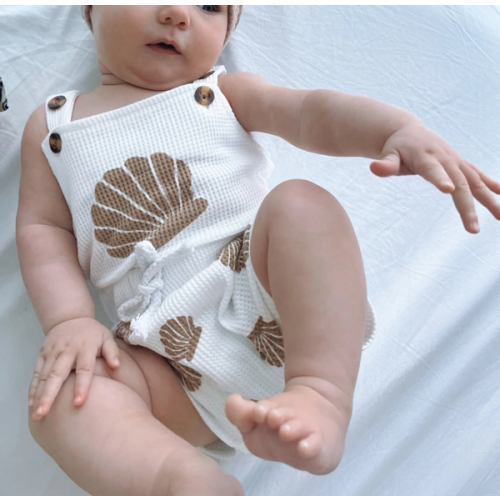 Seashell Set