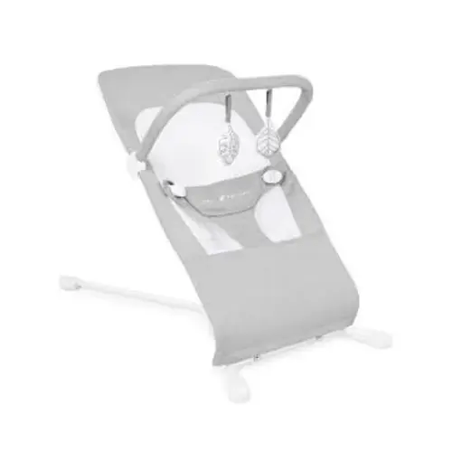 https://www.target.com/p/baby-delight-highland-organic-portable-baby-bouncer/-/A-94618528?preselect=94604794#lnk=sametab - Google Search
