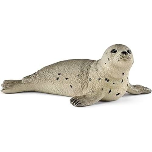 Seal Cub