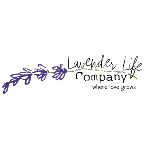 Xander Fox Lavender | Xander Fox | Lavender Life Company