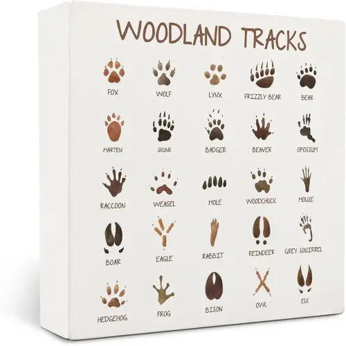 Woodland Tracks Wooden Box Sign,Woodland Nursery Decor,Animal Tracks Field Guide Sign,Forest Nursery Decor, Boy Nursery Wall Decor, Jungle Nursery Decor For Kids 5x5 Inches