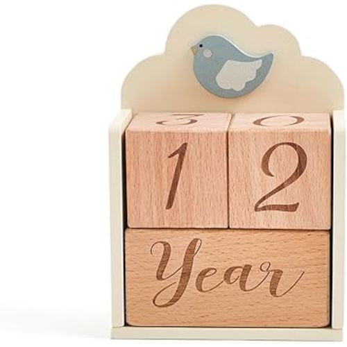 Promise Babe Milestone Blocks Set of 3 with Bird Storage Box, Baby Age Blocks for Monthly Weekly Milestone Wooden Photo Props Set Perfect for Baby Shower and Keepsake Gifts