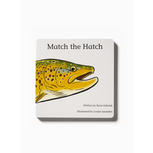 Match the Hatch Children's Book
