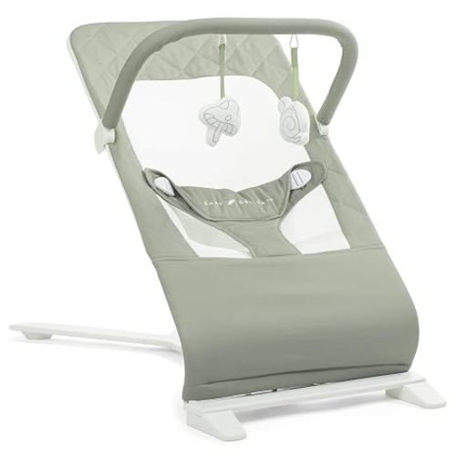 Baby Delight Alpine Deluxe Portable Bouncer | Infant | 0 – 6 months | Charcoal Tweed