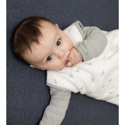 Solid Organic Cotton Fitted Crib Sheet - Nightfall