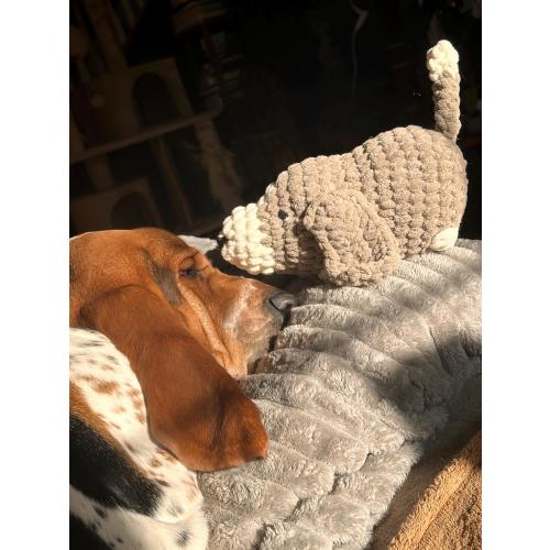 MADE TO ORDER | Crochet Basset Hound Puppy Plush | Dog Lover Gift, Beagle, Stuffed Animal, Pet Memorial, Custom Dog Replica