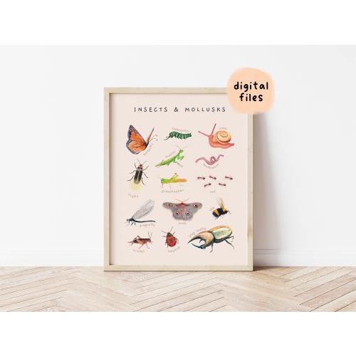 Watercolor Insects & Mollusks Educational Poster | Hand-painted Animal Illustration Print | Nature Theme Toddler Room Decor | Digital Files