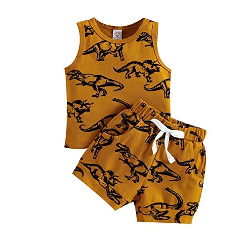 Summer Clothes for Toddler Boys Toddler Boys Girls Sleeveless Cartoon Dinosaur Printed Baby Stuff for Newborns
