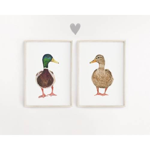 Mallard Duck Art, Duck Nursery Wall Art, Mallard Duck Nursery Decor, Duck nursery wall art, Farm nursery, Animal Paintings, duck painting