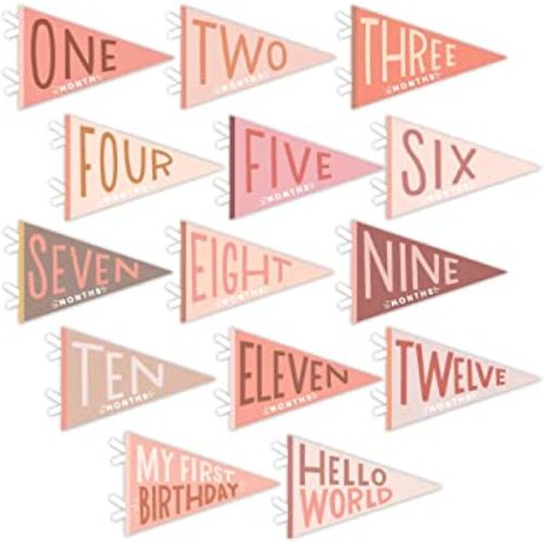 Lucy Darling Petit Milestone Pennant - 12 Monthly Pennants for a Boy or Girl - The Perfect Baby Gift for Newborn Moms and for Baby Showers (Blushing Meadow)