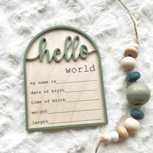 Hello World Birth Announcement Sign, Engraved and Acrylic Baby Photo Prop
