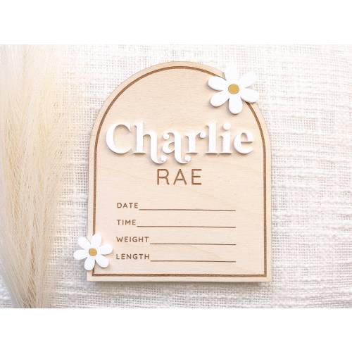 Baby name announcement sign with birth stats | newborn name plate for hospital | birth stat wood arch | baby girl daisy flower name plaque