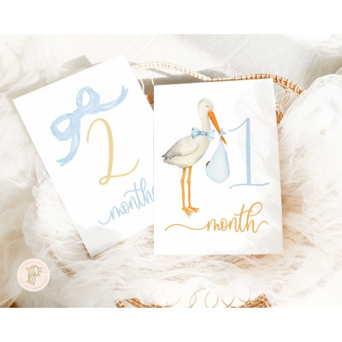 Boy Milestone Cards | Milestone cards | Stork | Baby Gift | New Mom | Gift Ideas | Baby Shower | Baby Month Cards | Memories | Baby Boy
