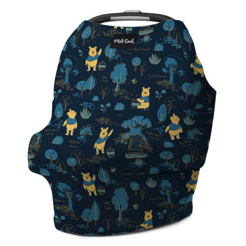 DISNEY WINNIE THE POOH COVER