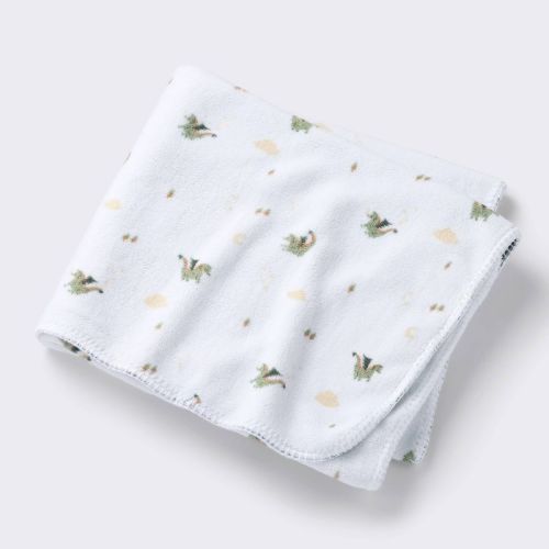 Plush Baby Blanket - Dragons - Cloud Island™