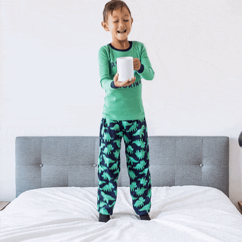 Waterproof Mattress Protector (Non-Toxic)