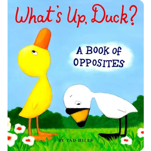 What's Up, Duck?: A Book of Opposites (Duck & Goose)