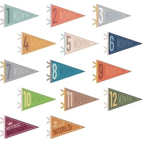 14 Pcs Baby Milestone Pennant Signs Monthly Milestone Banner Flags Pennant Triangle Banner Age Flag Signs for Boy Girl Newborn Birthday Party Decor(Classical Color)