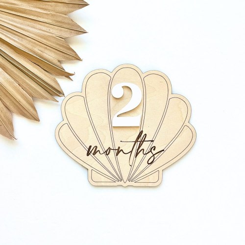 Seashell Baby Milestone Sign, Scallop Monthly Photo Sign, Beach Milestone Sign, Tropical Baby Sign, Tropical Nursery Sign