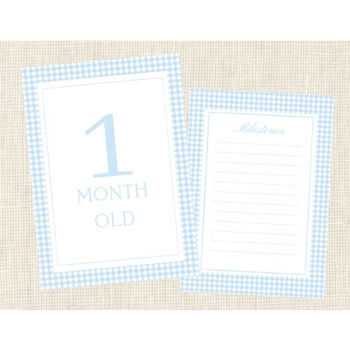 Watercolor Boy Milestone Cards Baby / Two Sided / Gingham / Gift / Baby Shower / Classic