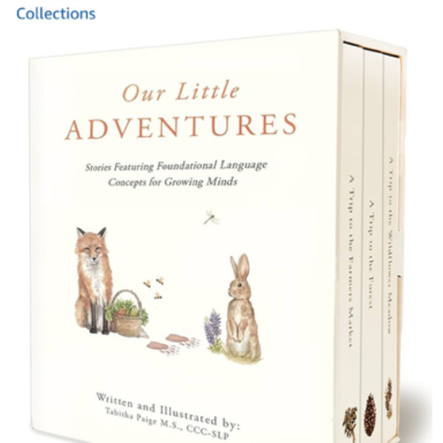 Our Little Adventures: Stories Featuring Foundational Language Concepts for Growing Minds (Our Little Adventures Series)