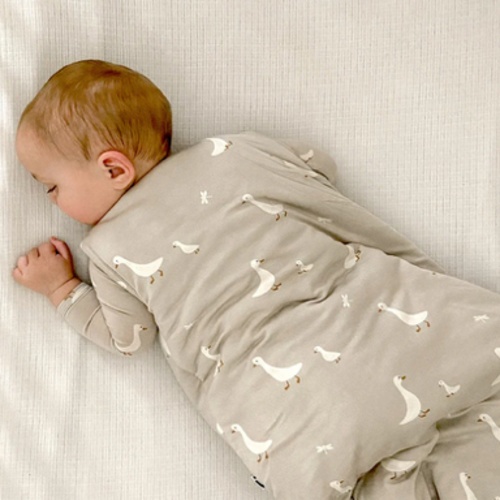 2.5 TOG Sleep Bag