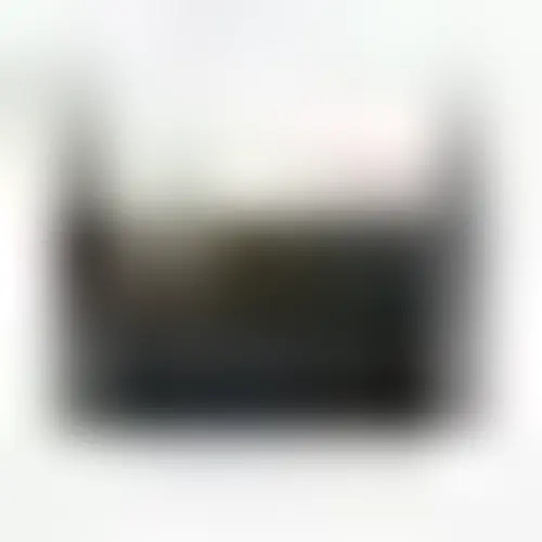 Carry-All Parent Organizer