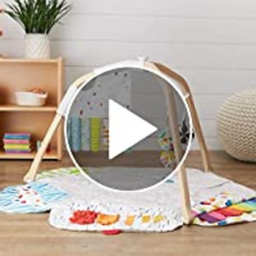 The Play Gym by Lovevery | Stage-Based Developmental Activity Gym & Play Mat for Baby to Toddler, 1 Count (Pack of 1)