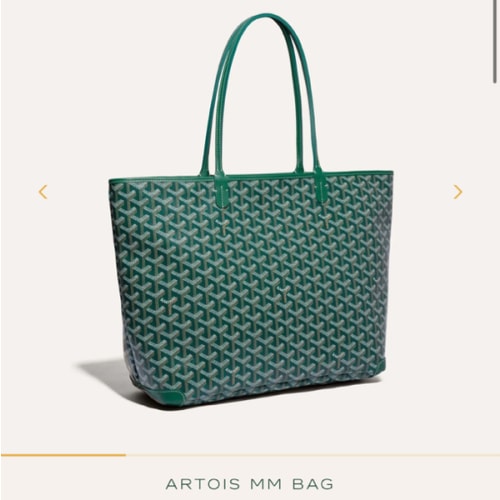 ARTOIS MM BAG - Maison Goyard