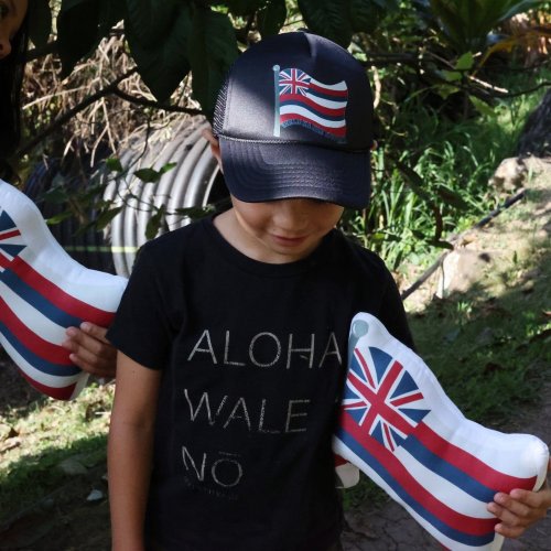 Hae Hawai‘i Uluna — kahua aina