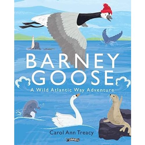 Barney Goose: A Wild Atlantic Way Adventure