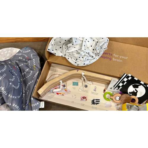 Lovevery play kits + gym