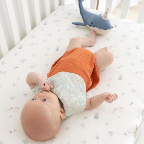Crane Baby, Cove Sea Life Fitted Crib Sheet | Zola Baby