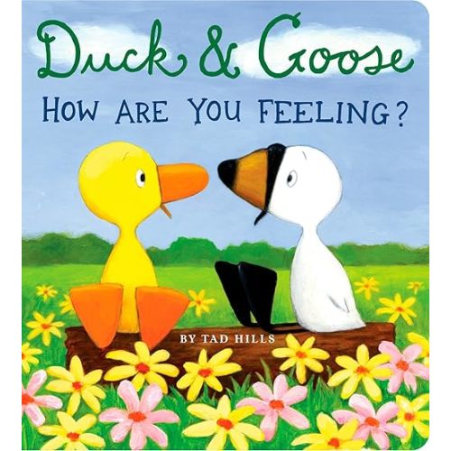 Duck & Goose, How Are You Feeling? Board book – Illustrated