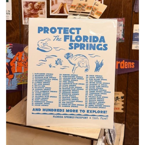 Protect the Springs Print (8x10) - 5801 Print House