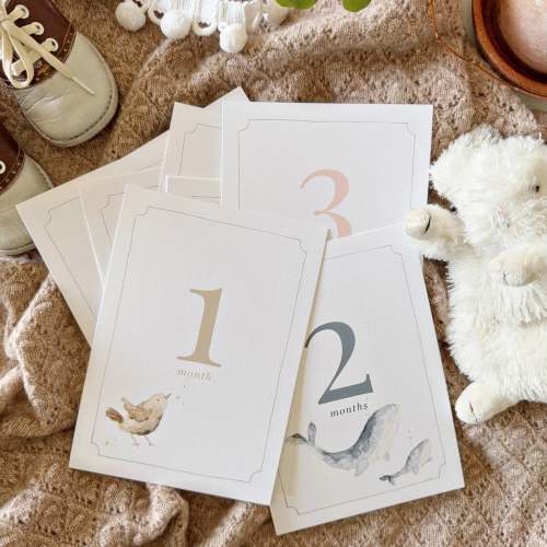 baby milestone cards – emily lex studio