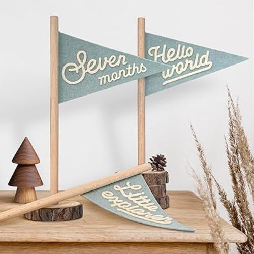 Baby Monthly Milestone Pennant Flag Signs | Natural Wood and Soft Felt | Baby First Year Photo Props, Nursery Decor, Newborn Birth Announcement, Baby Shower, Newborn Gift, Pregnancy Journey, Keepsake (Blue)
