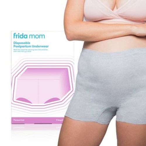 Frida Mom Disposable Postpartum Underwear Boy Shorts Briefs - Regular 8ct