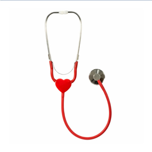 Schylling Little Doctor Stethoscope for Kids