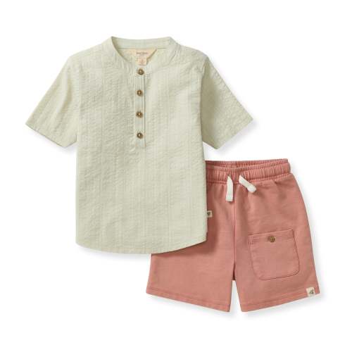 Seersucker Boy Shirt & Shorts Set – Burt's Bees Baby