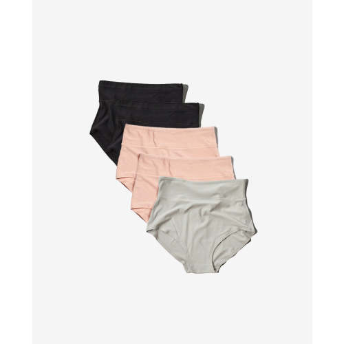 Bodily All-In Panty Multi Pack for Postpartum & C-Sections