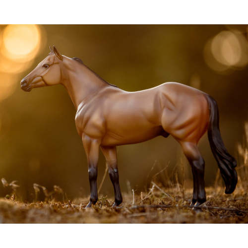 The Ideal Series | Buckskin
