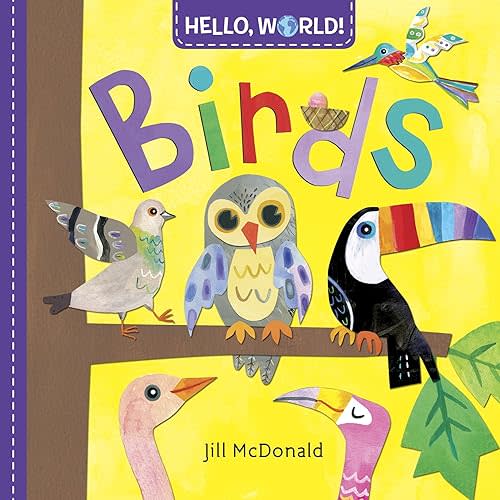 Hello, World! Birds Board book – February 14, 2017